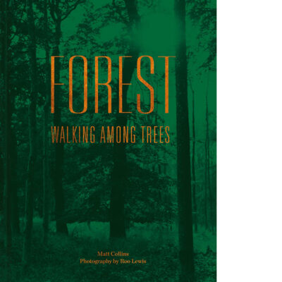 ForestWalking AmongTrees