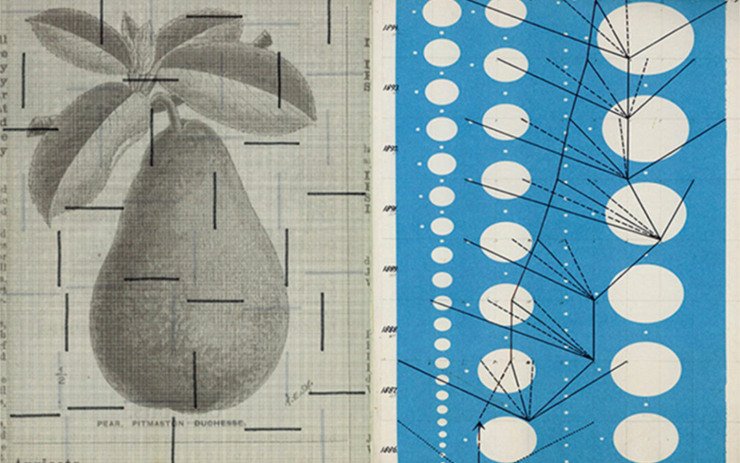 0925 // Frugtfarver